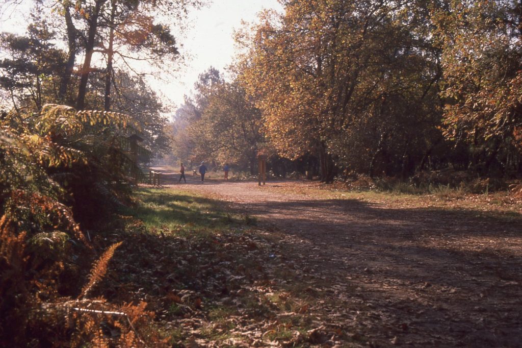 Bois du Burck, [1993]. Photographie couleur, auteur inconnu. Archives communales de Mérignac, 19 Fi 183.